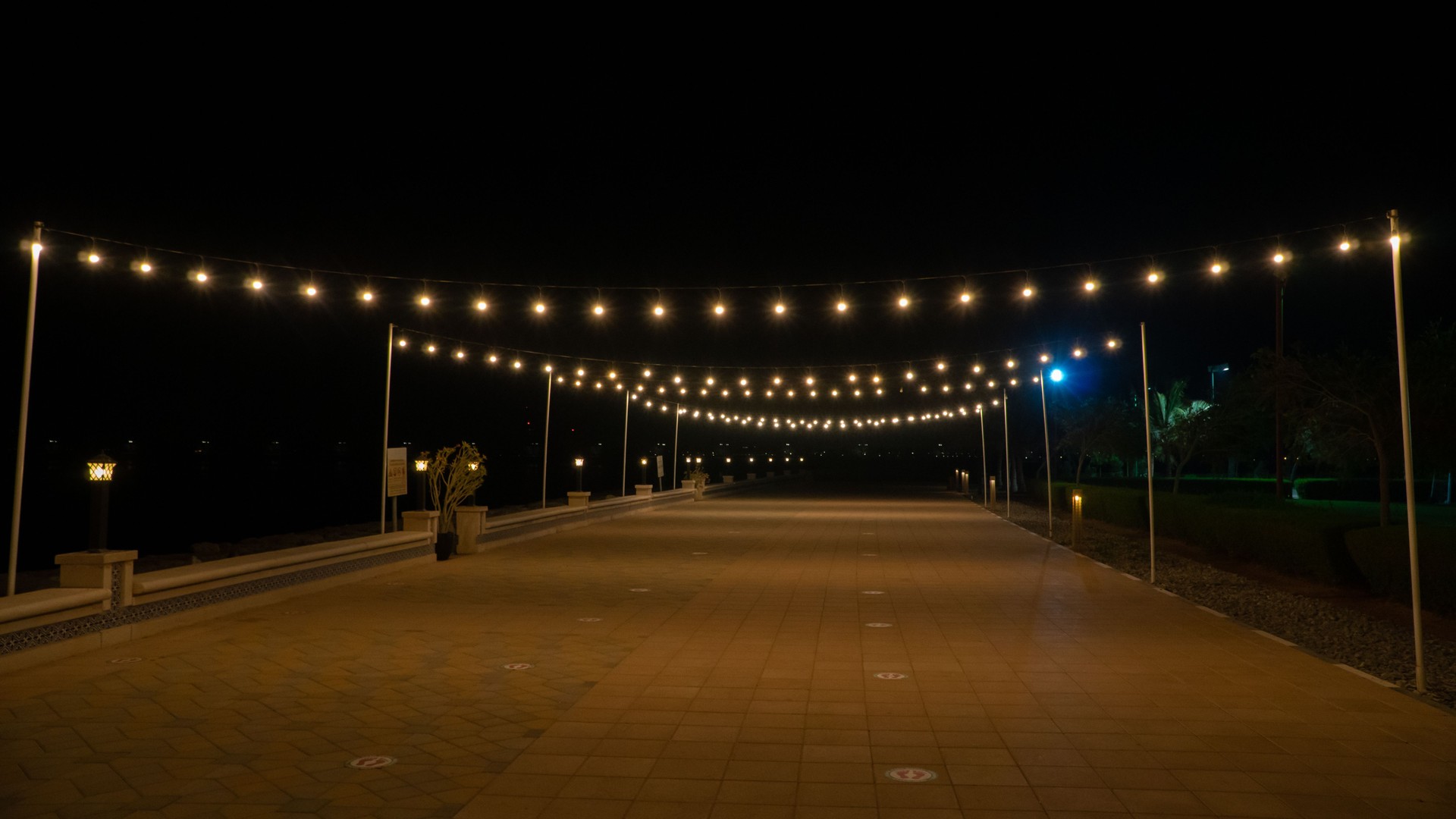 Outdoor string lights lighting up the path in a festive mood